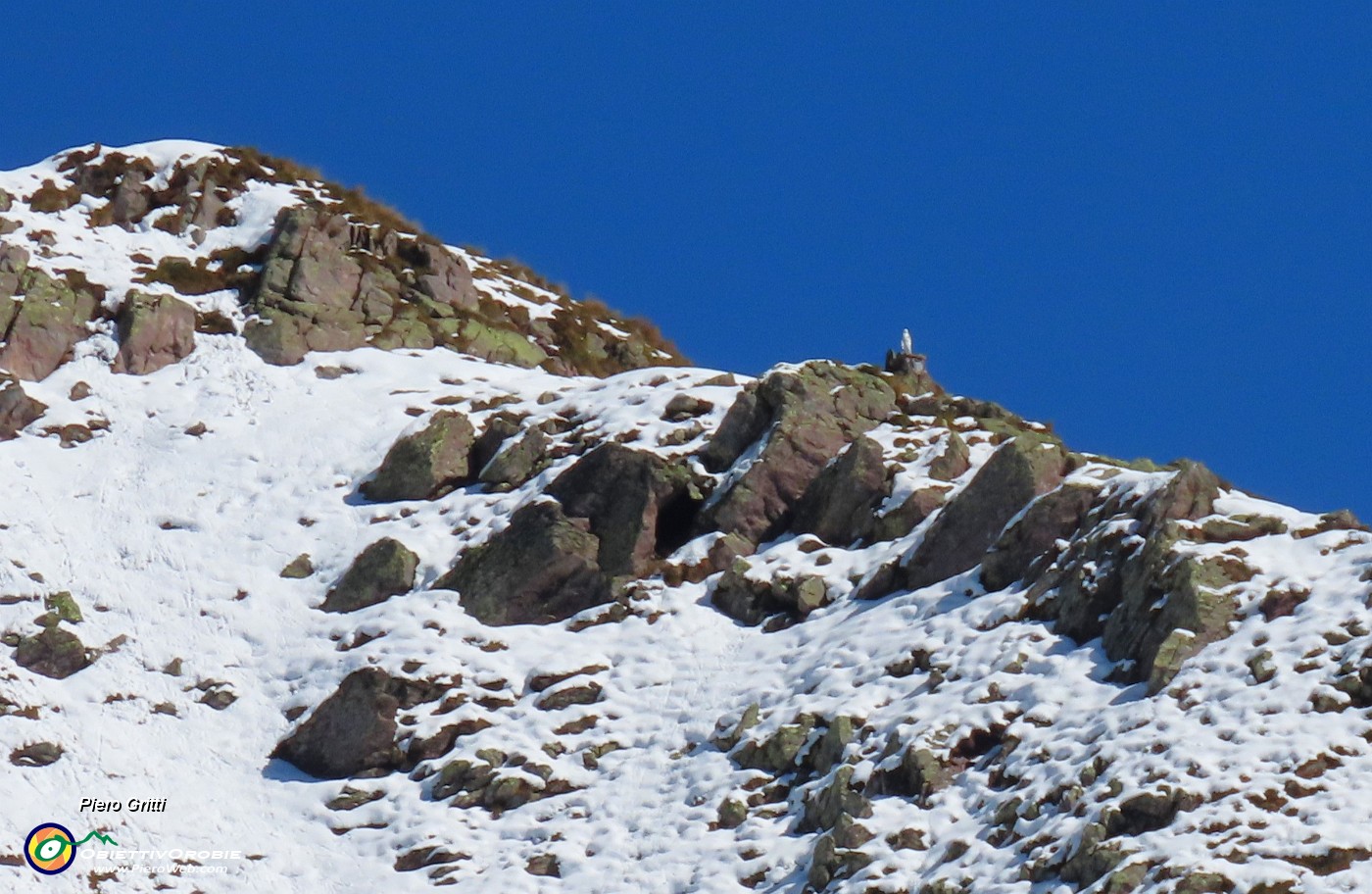 24 Cima Pietra Quadra (2356 m) , poco sotto la Bianca Madonnina.JPG